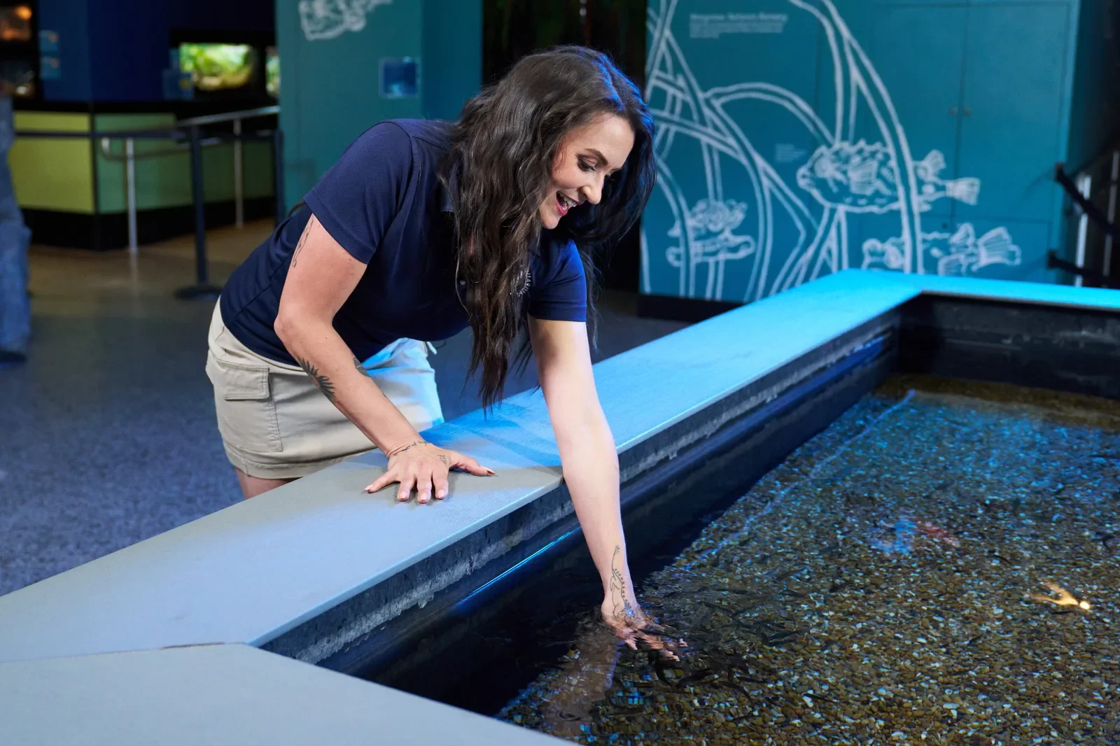 Achill Experience Aquarium