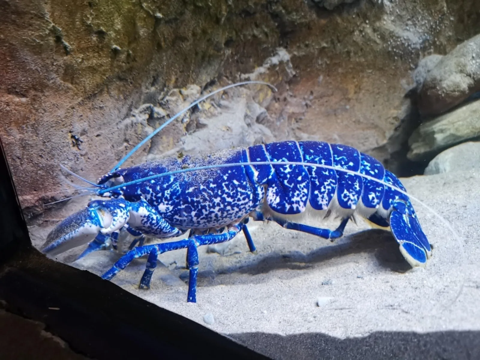 Achill Experience Aquarium photo 2