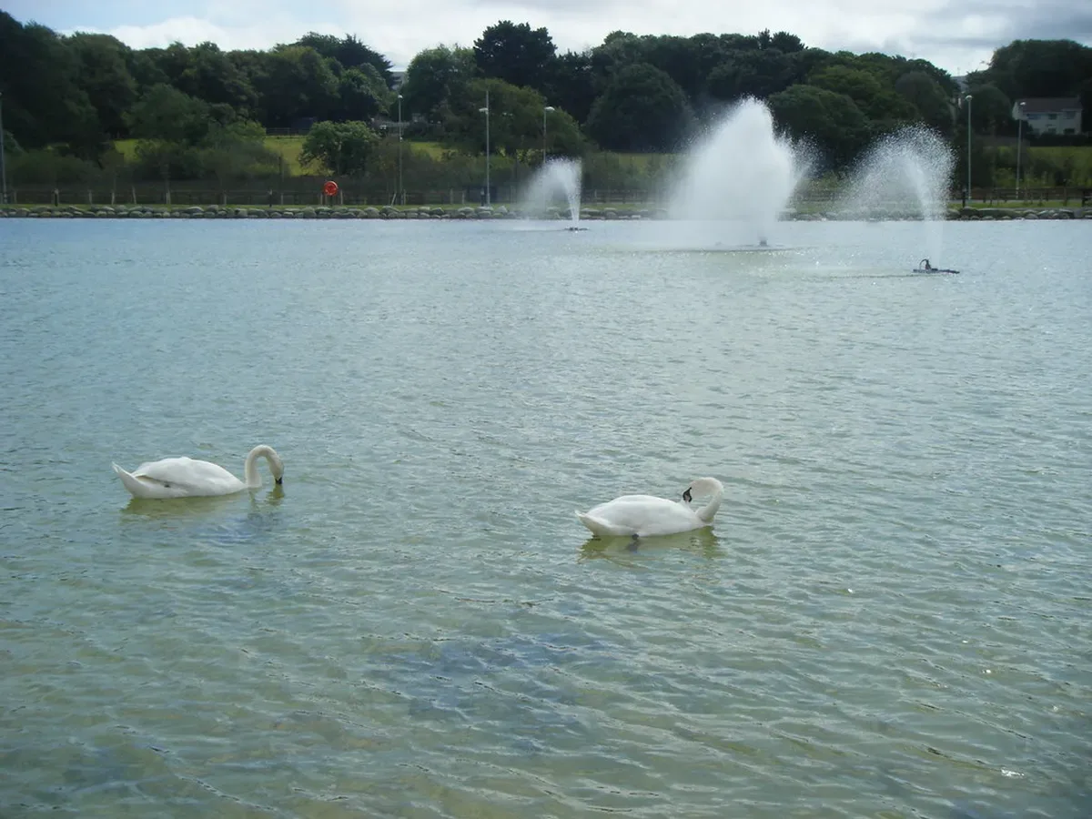 Aquadome Tralee photo 3