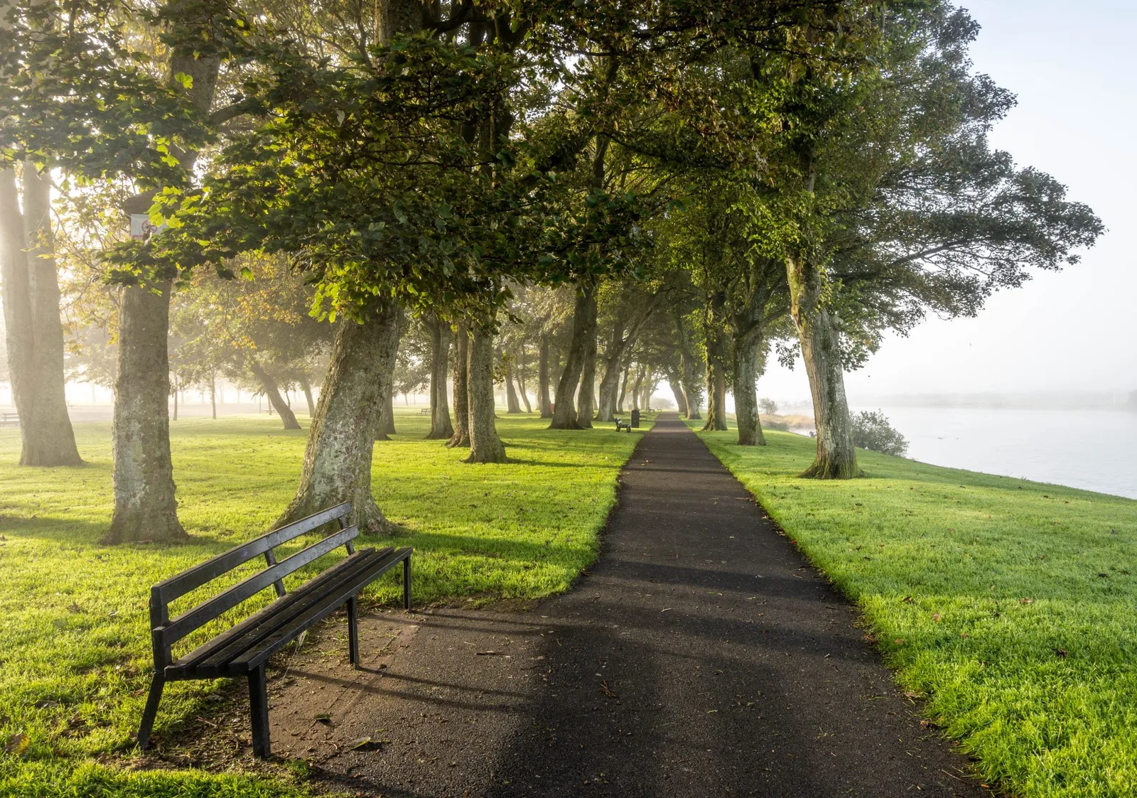 Burgess Park, Athlone photo