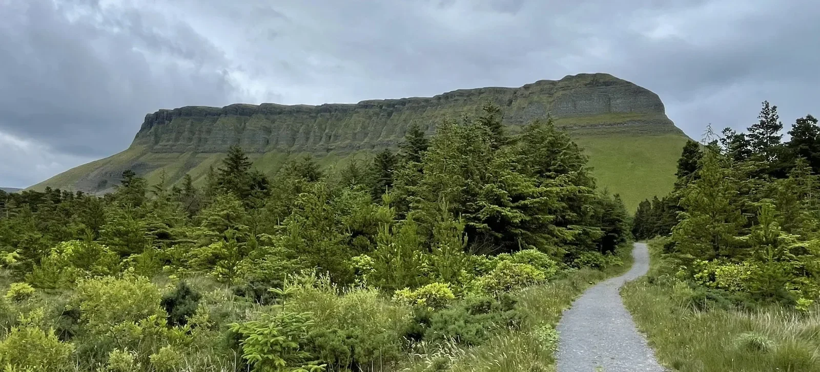 Benbulben Forest Walk