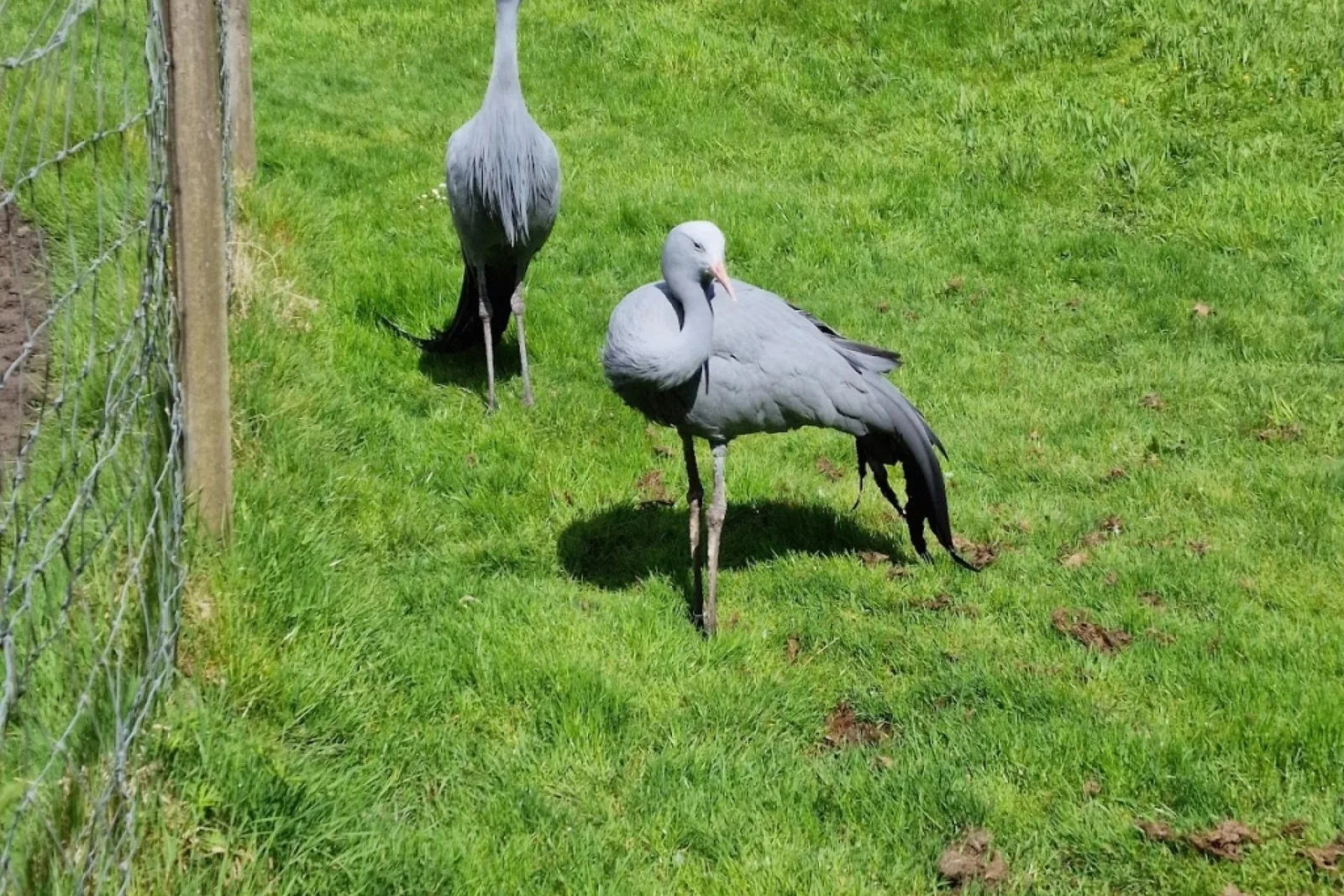 Birdworld