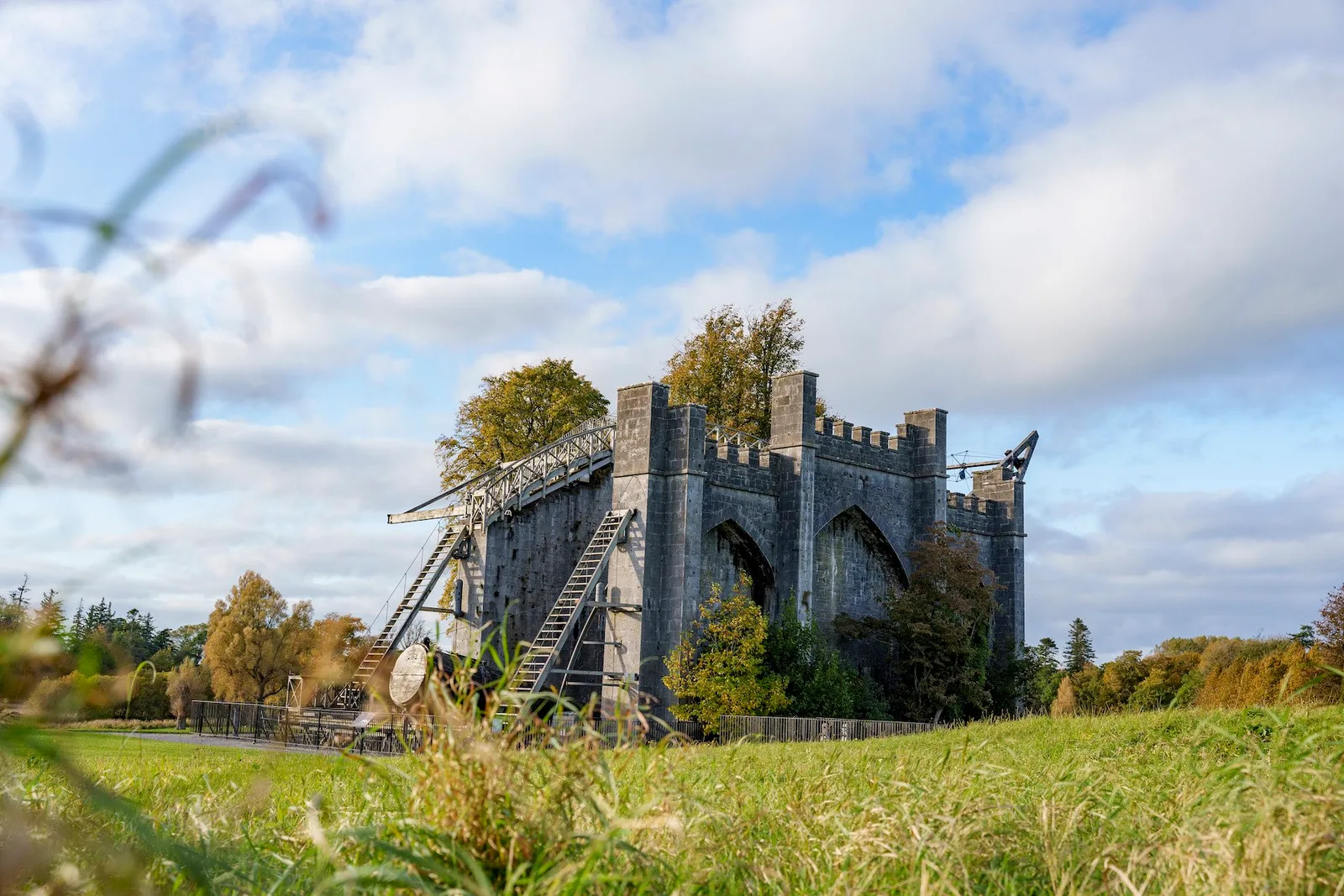 Birr Town Park photo 2