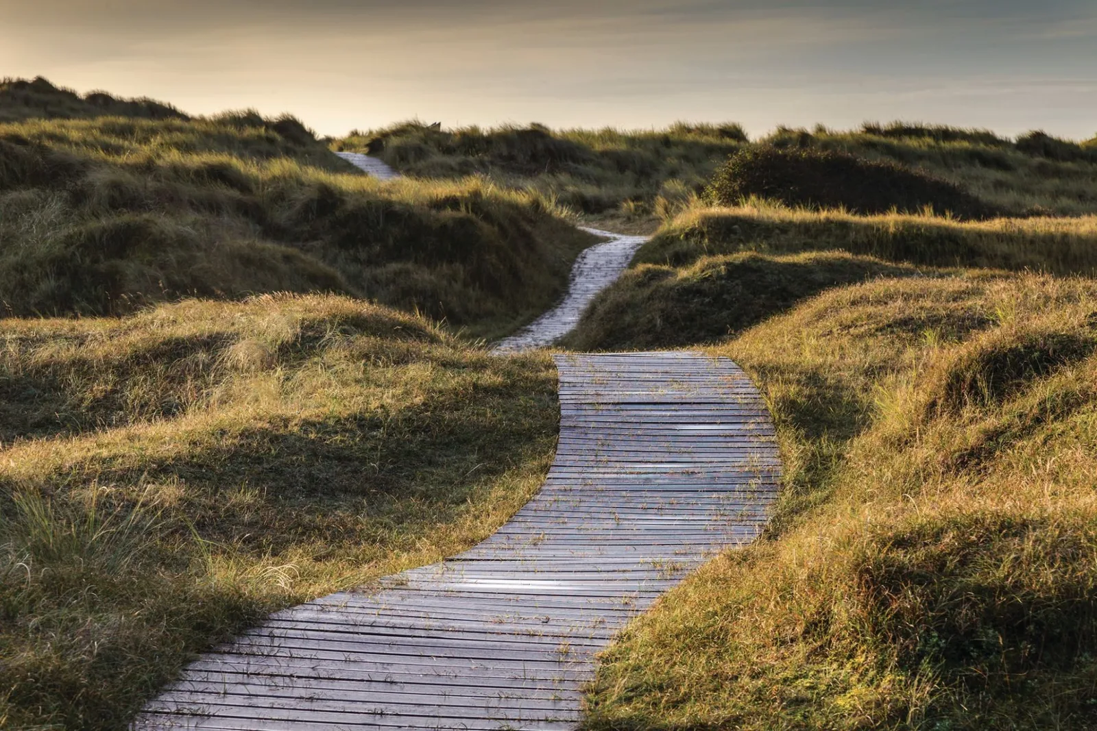 Blakeney National Nature Reserve photo 3