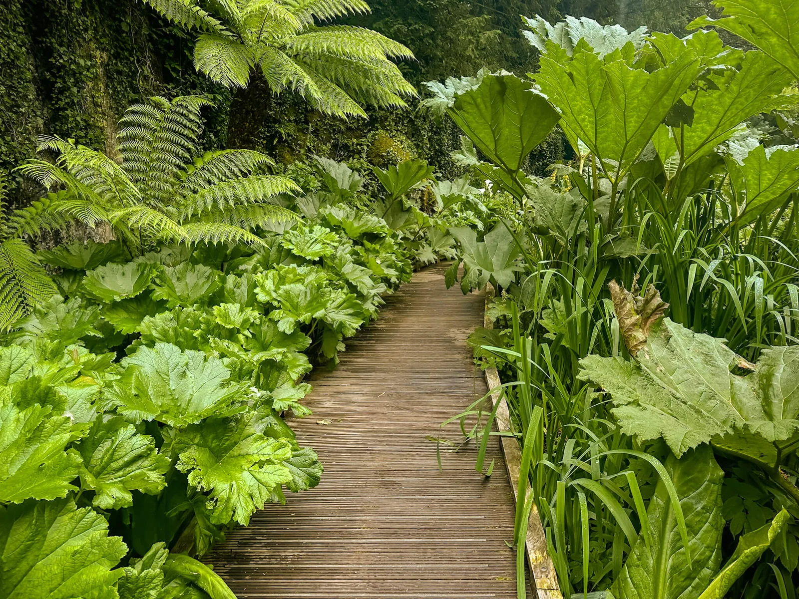 Blarney Castle & Gardens photo 2