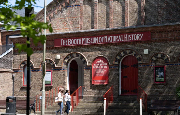 Booth Museum of Natural History photo 2
