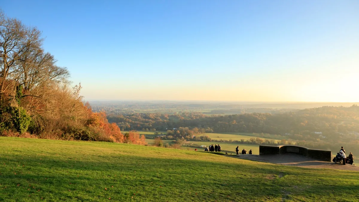 Box Hill photo 3
