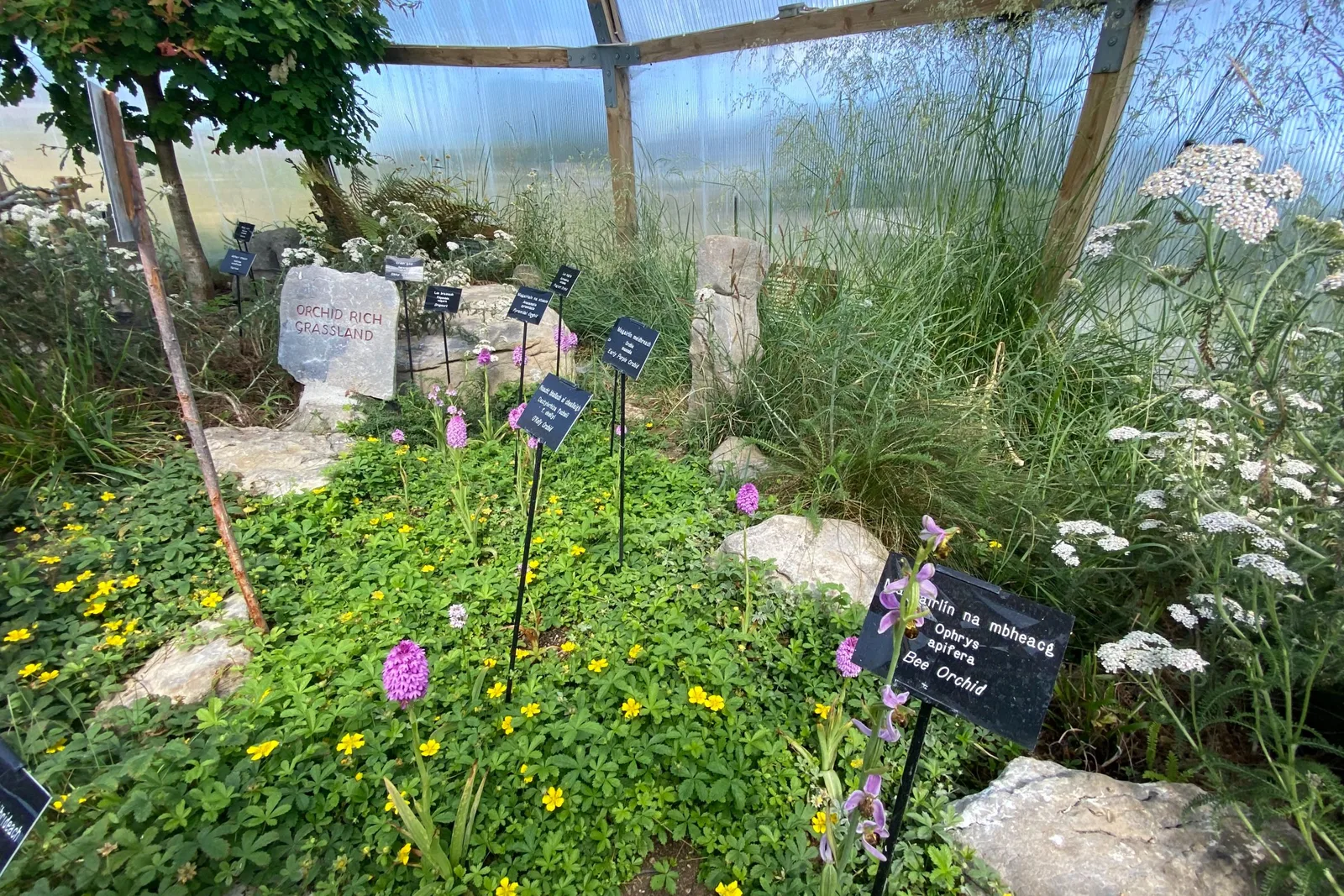 Burren Nature Sanctuary photo 2