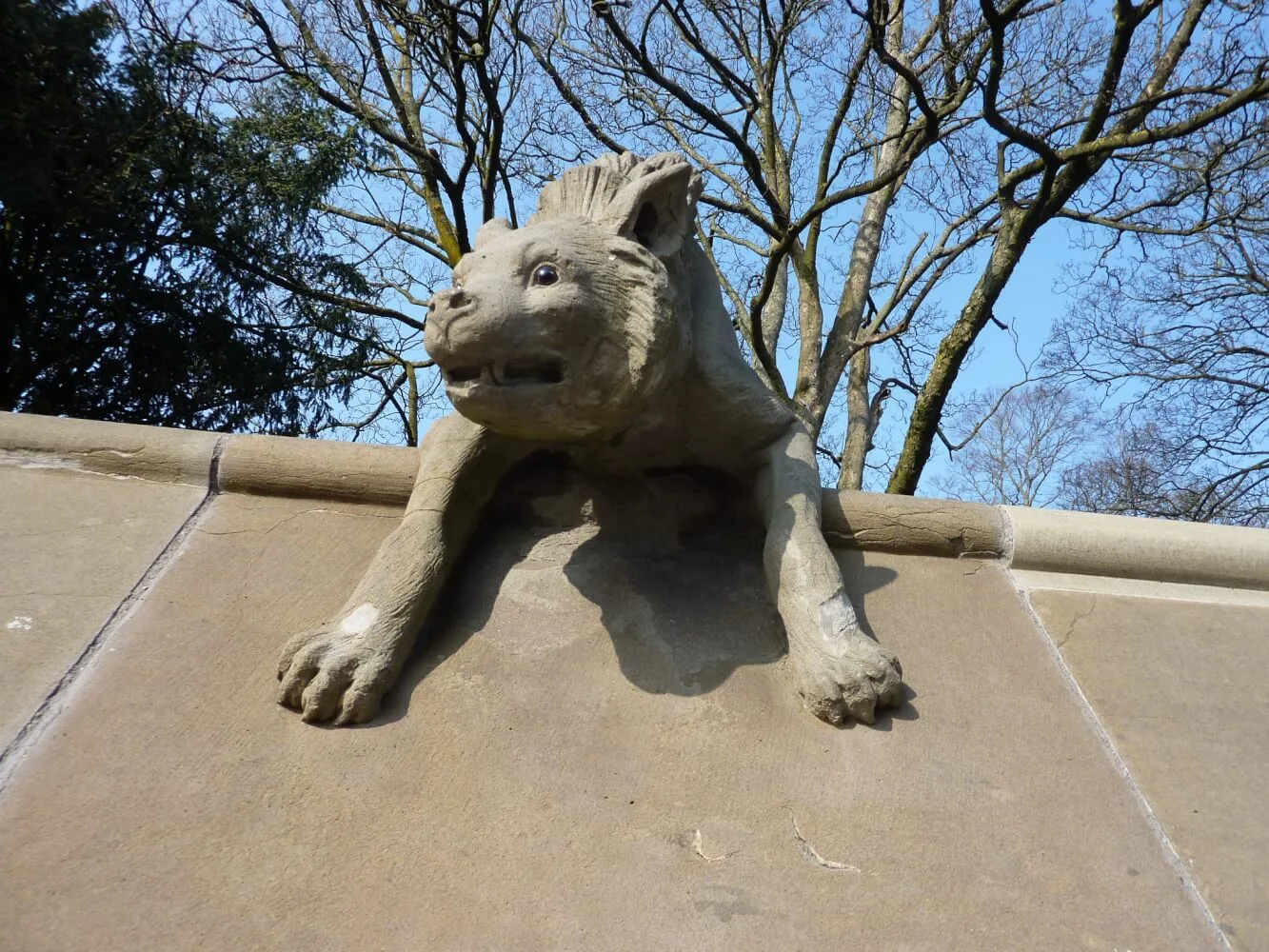Bute Park photo 3