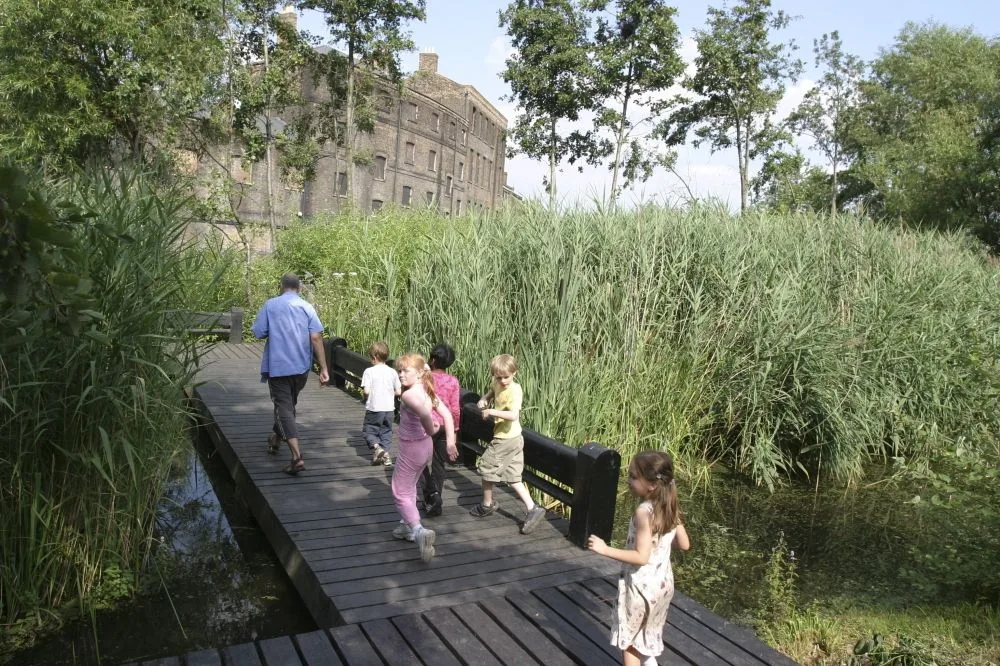 Camley Street Natural Park photo