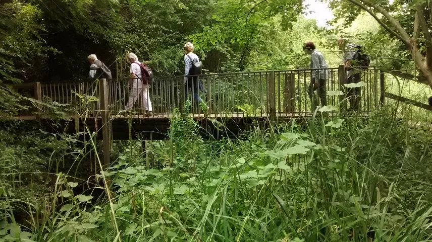 Carshalton - Wilderness Island Nature Reserve