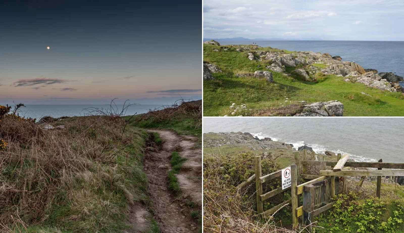 Clogherhead Cliffs Walk photo 2