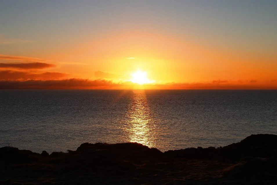 Clogherhead Cliffs Walk photo 3