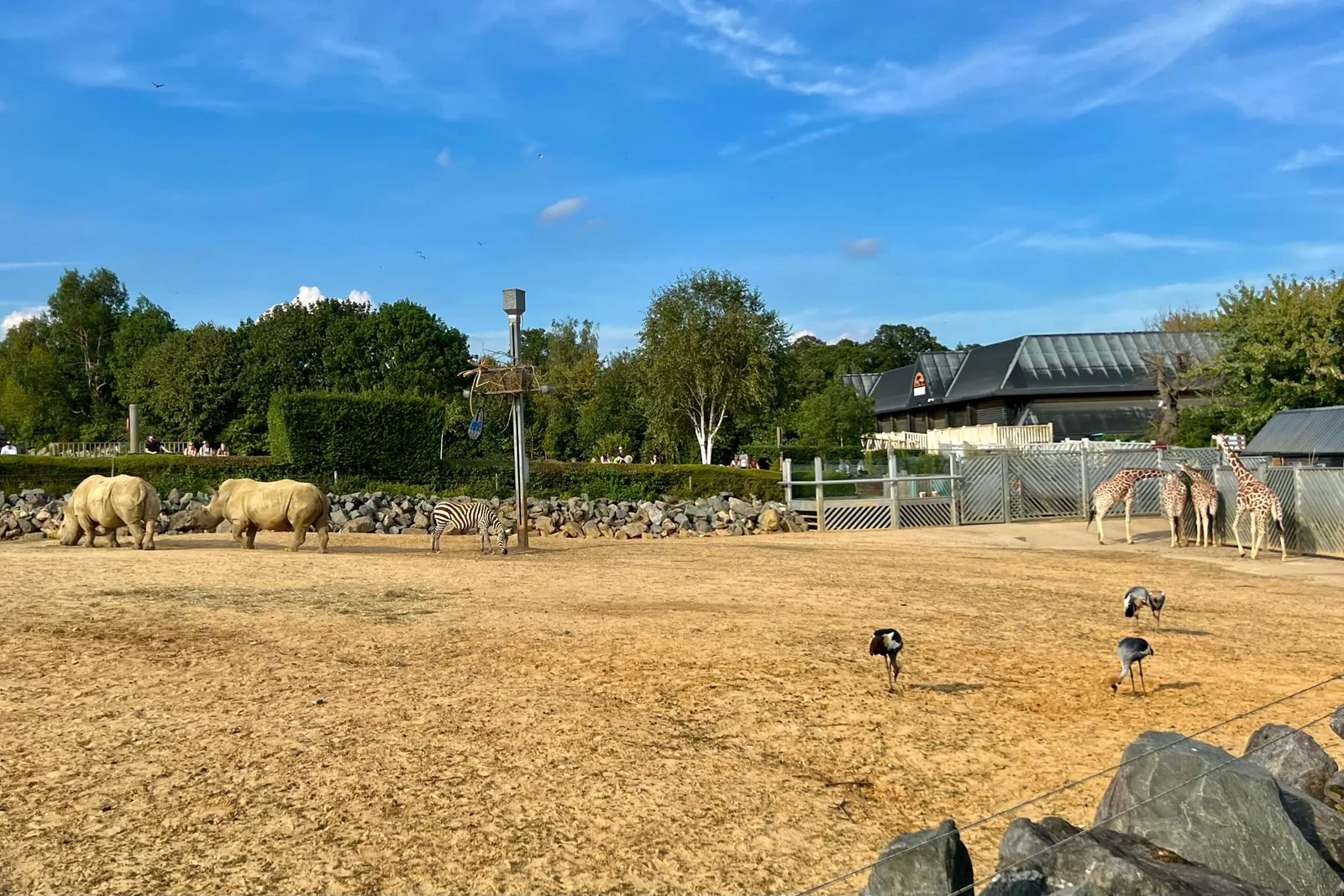 Colchester Zoo photo 2