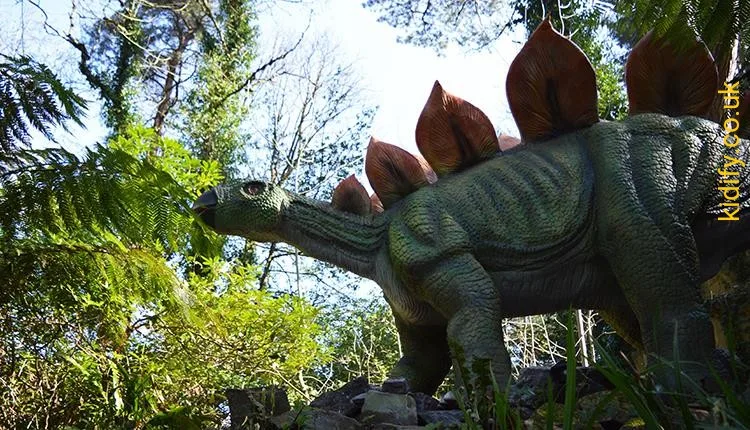 Combe Martin Wildlife & Dinosaur Park photo 2