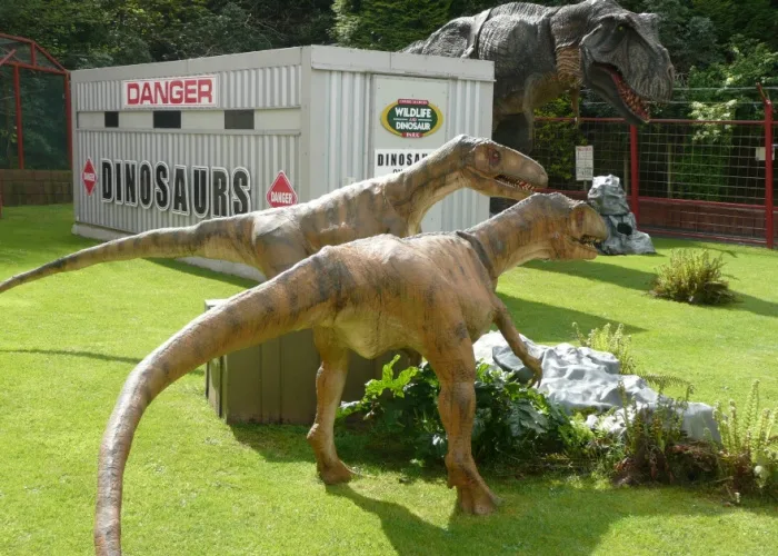 Combe Martin Wildlife & Dinosaur Park photo 3