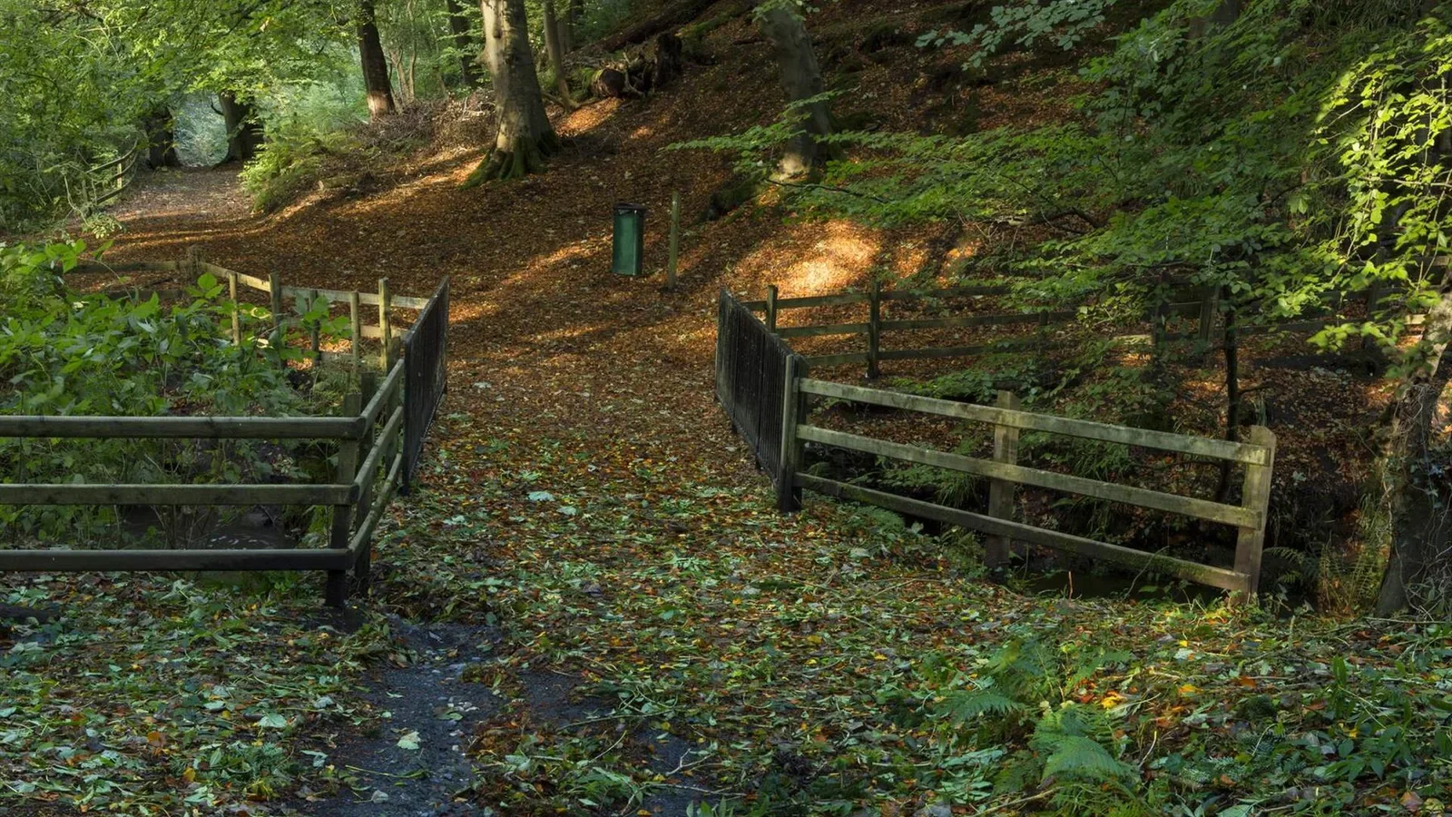 Crawfordsburn Country Park