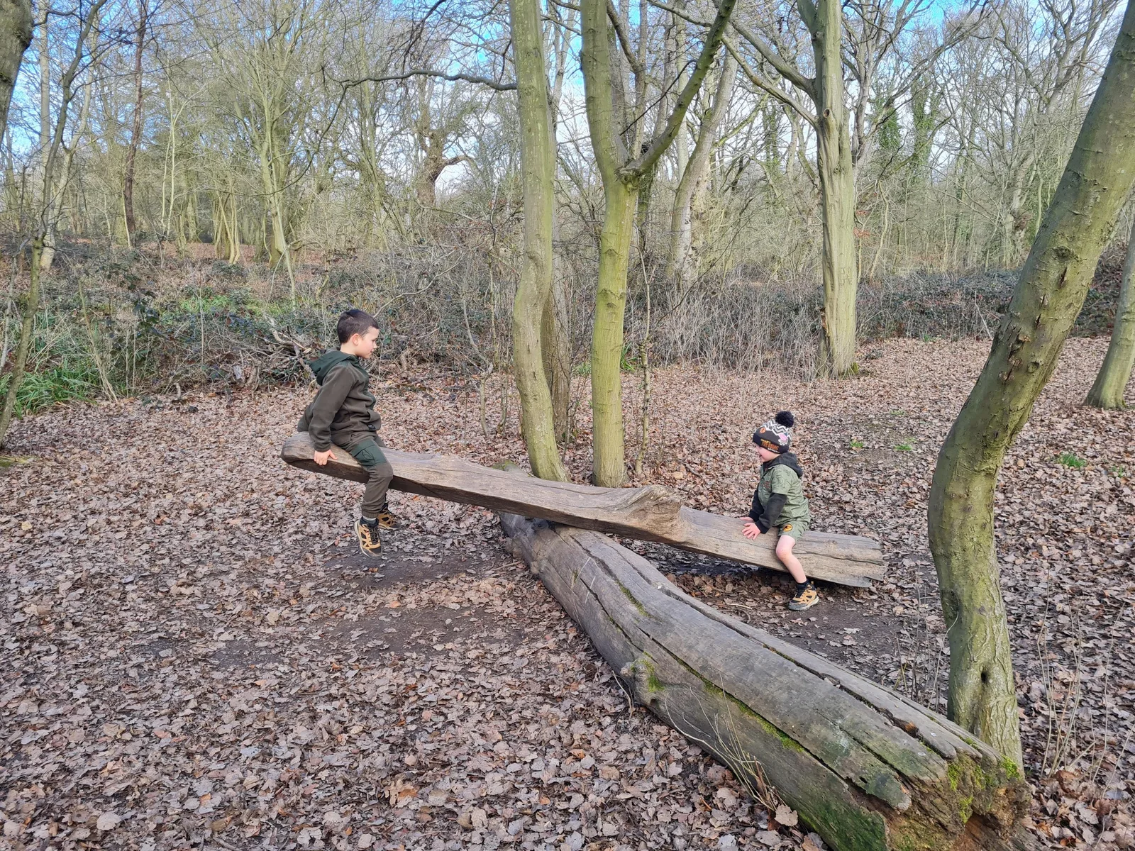 Danbury Country Park photo 2