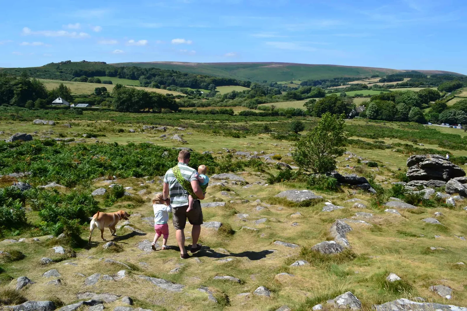 Dartmoor National Park photo 3