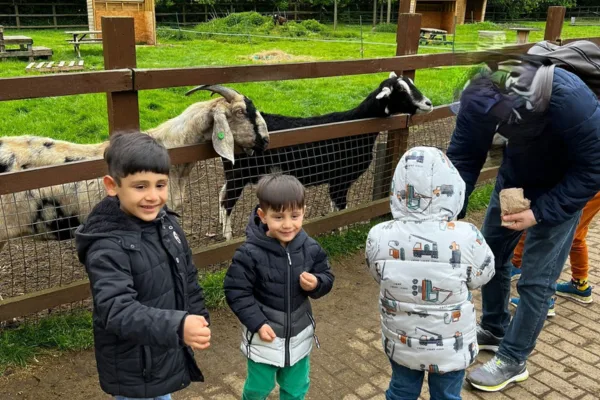 Deen City Farm photo