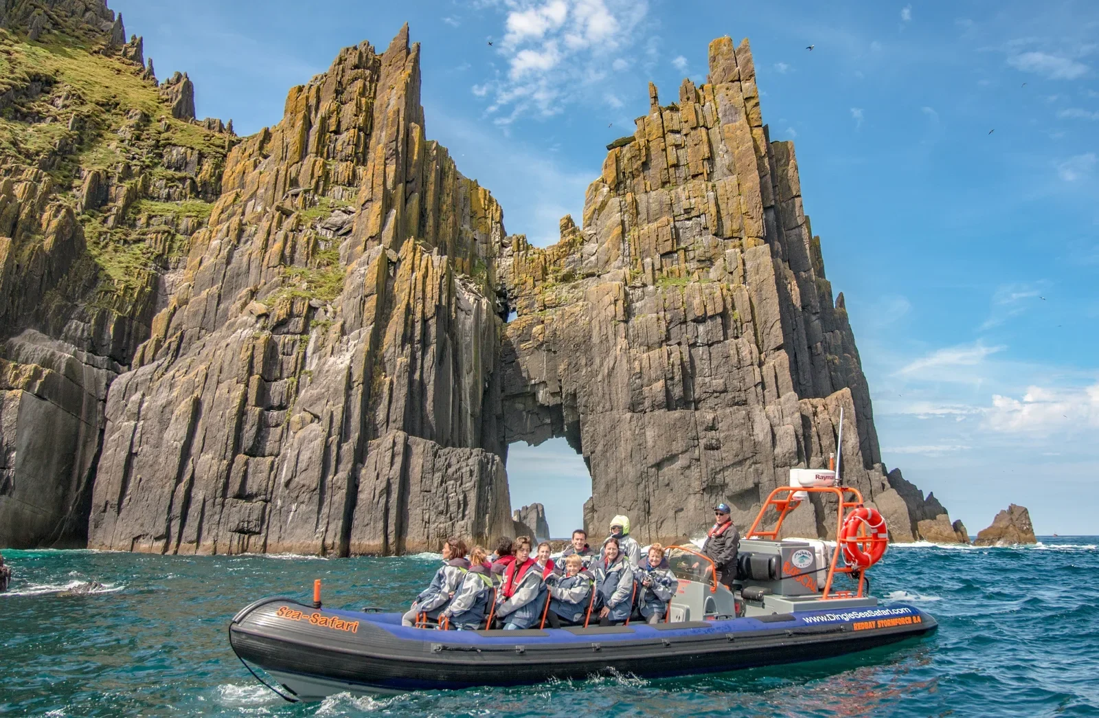 Dingle Sea Safari