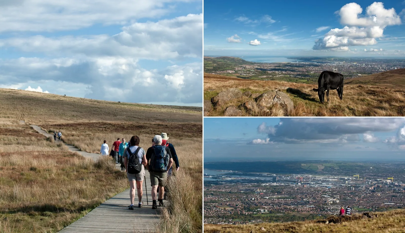 Divis and the Black Mountain photo 2
