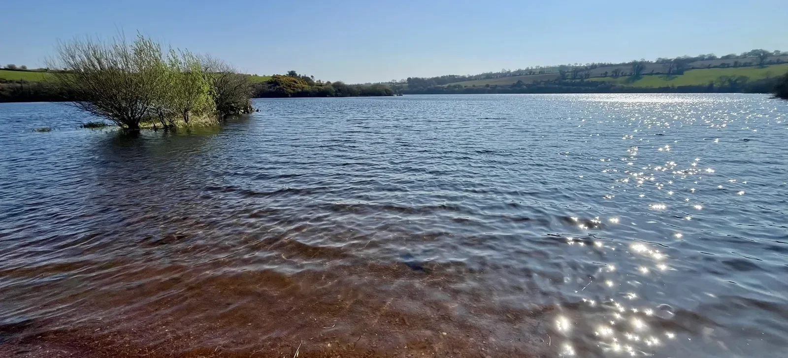 Farran Forest Park