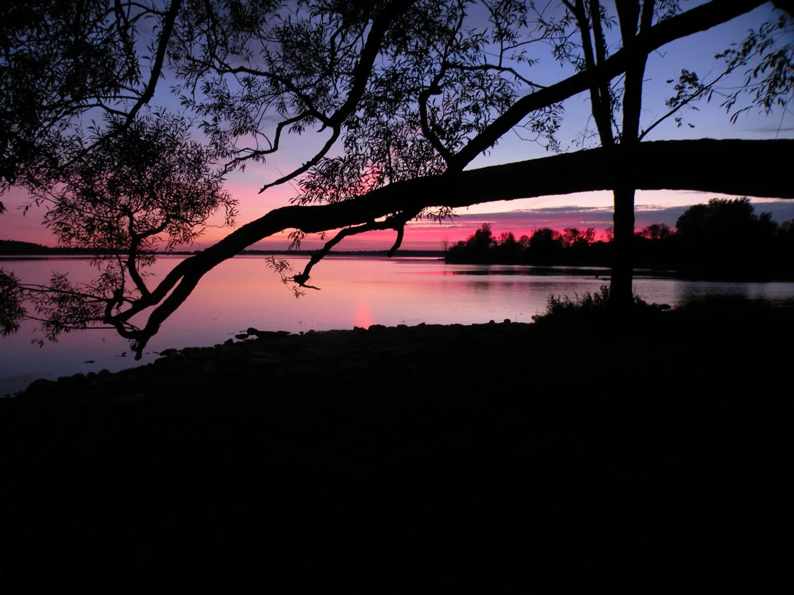 Farran Forest Park photo 3