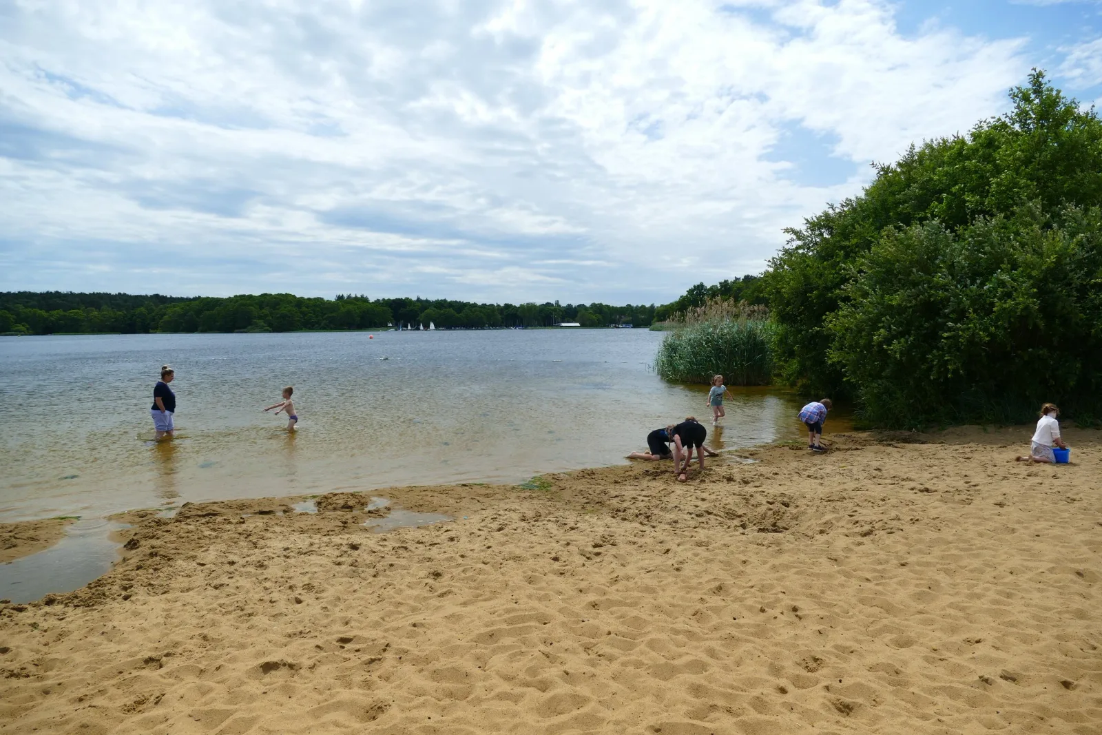 Frensham Great Pond and Common photo 2