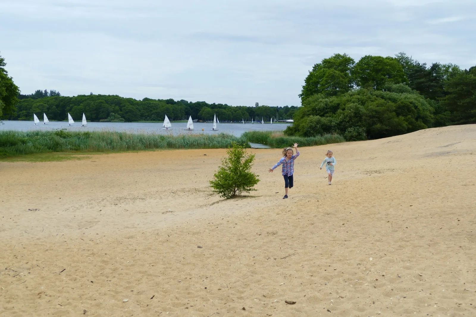 Frensham Great Pond and Common photo 3