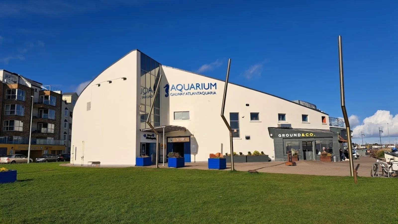 Galway Atlantaquaria photo 3