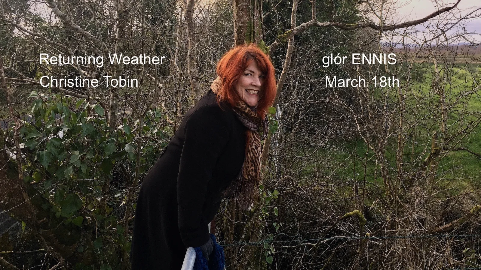 Glór Music Centre photo 3