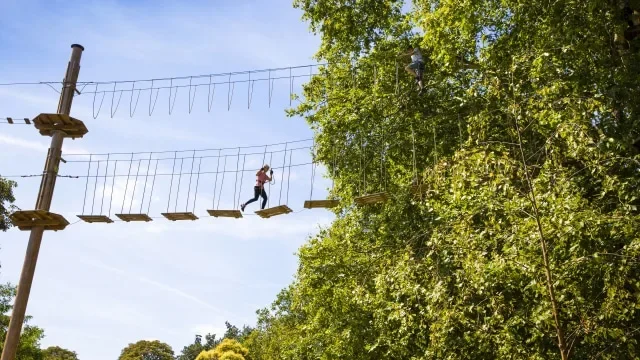 Go Ape Battersea