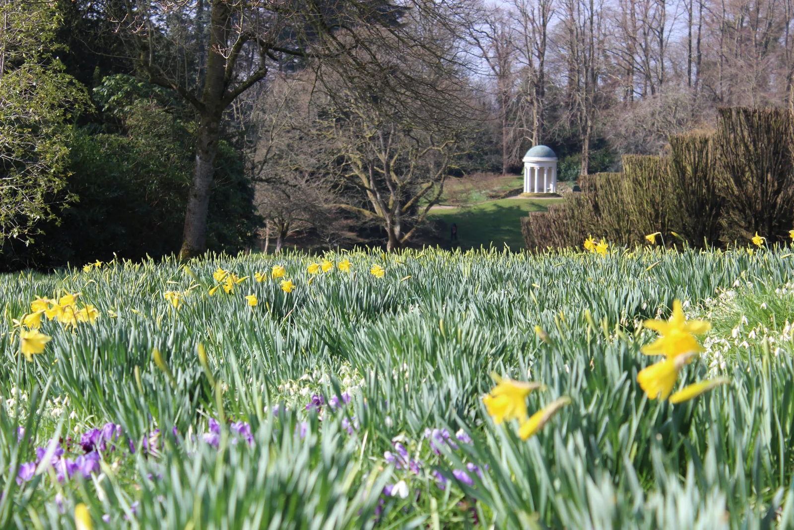 Hillsborough Castle and Gardens photo 2