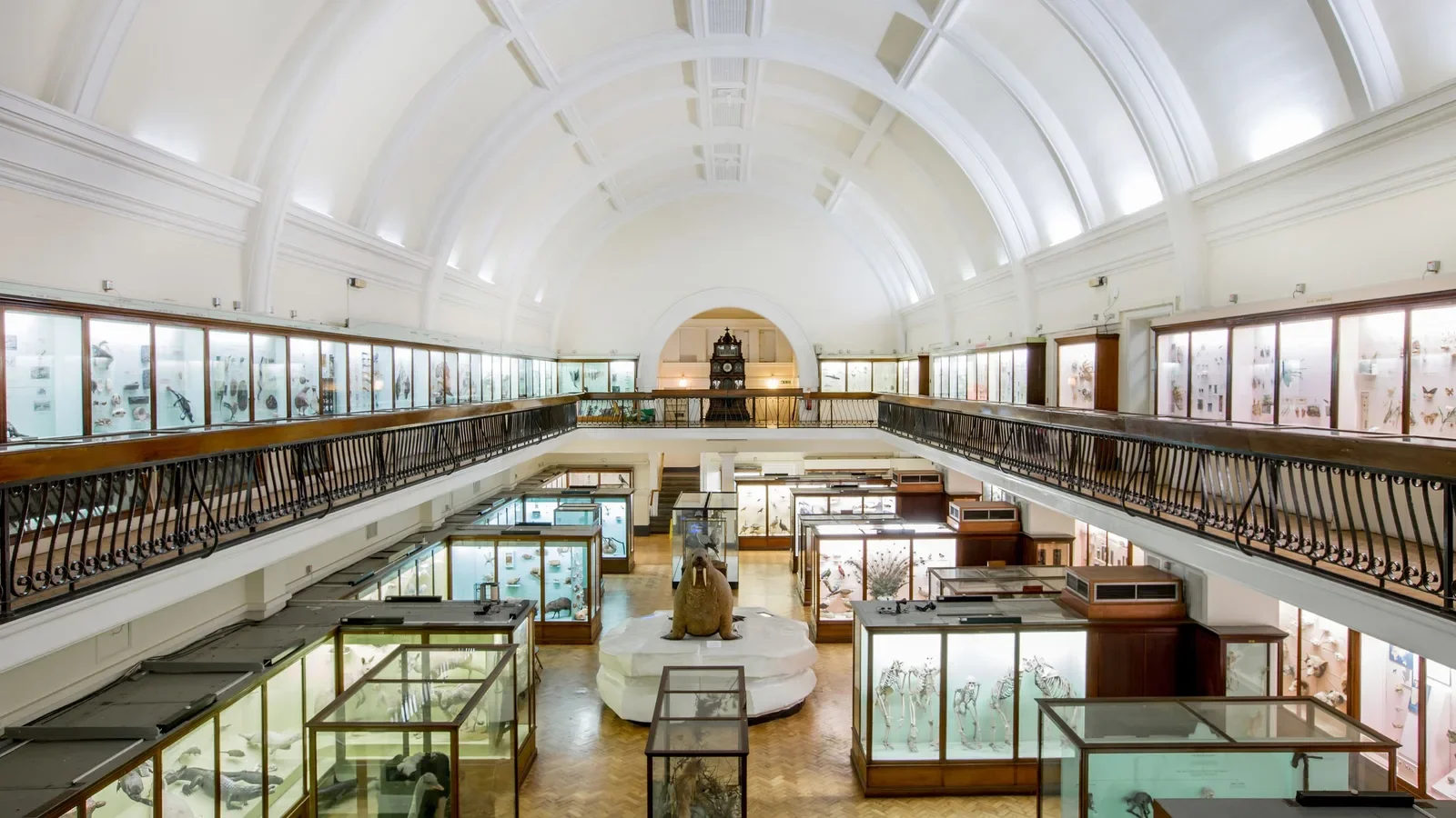 Horniman Museum and Gardens