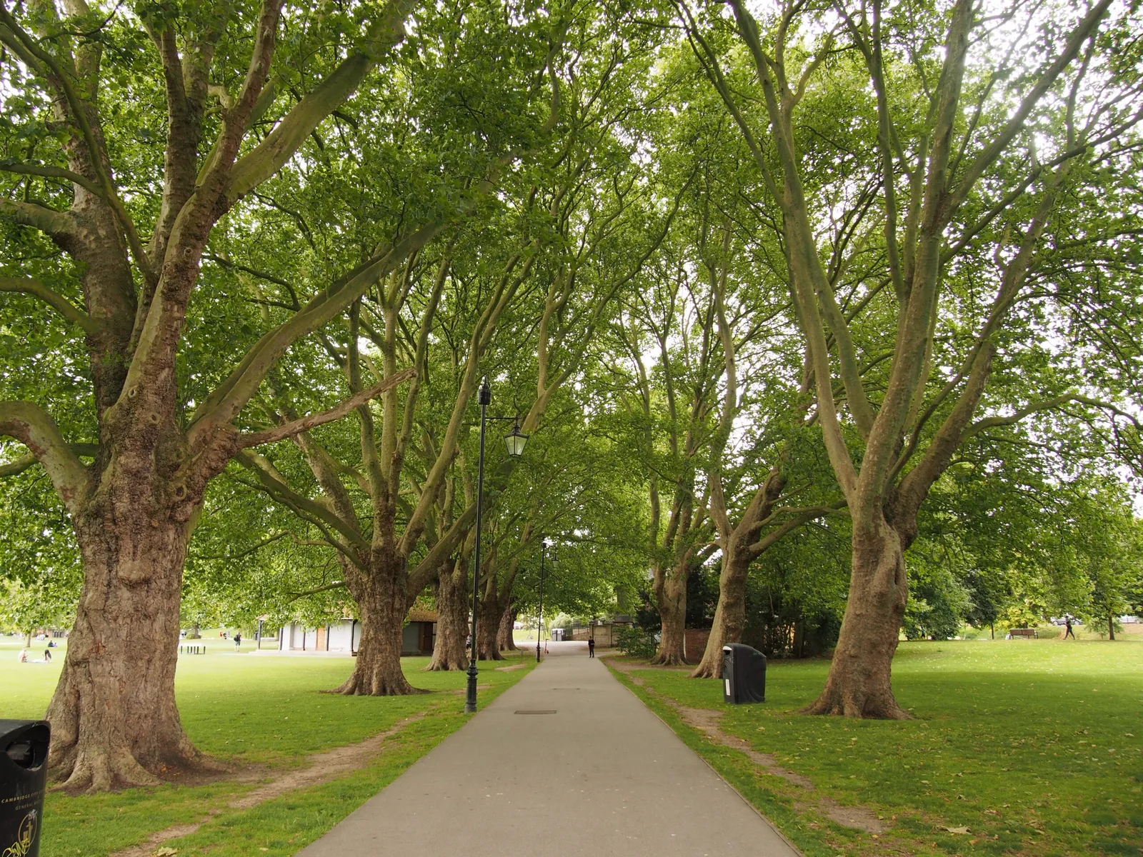 Jesus Green photo