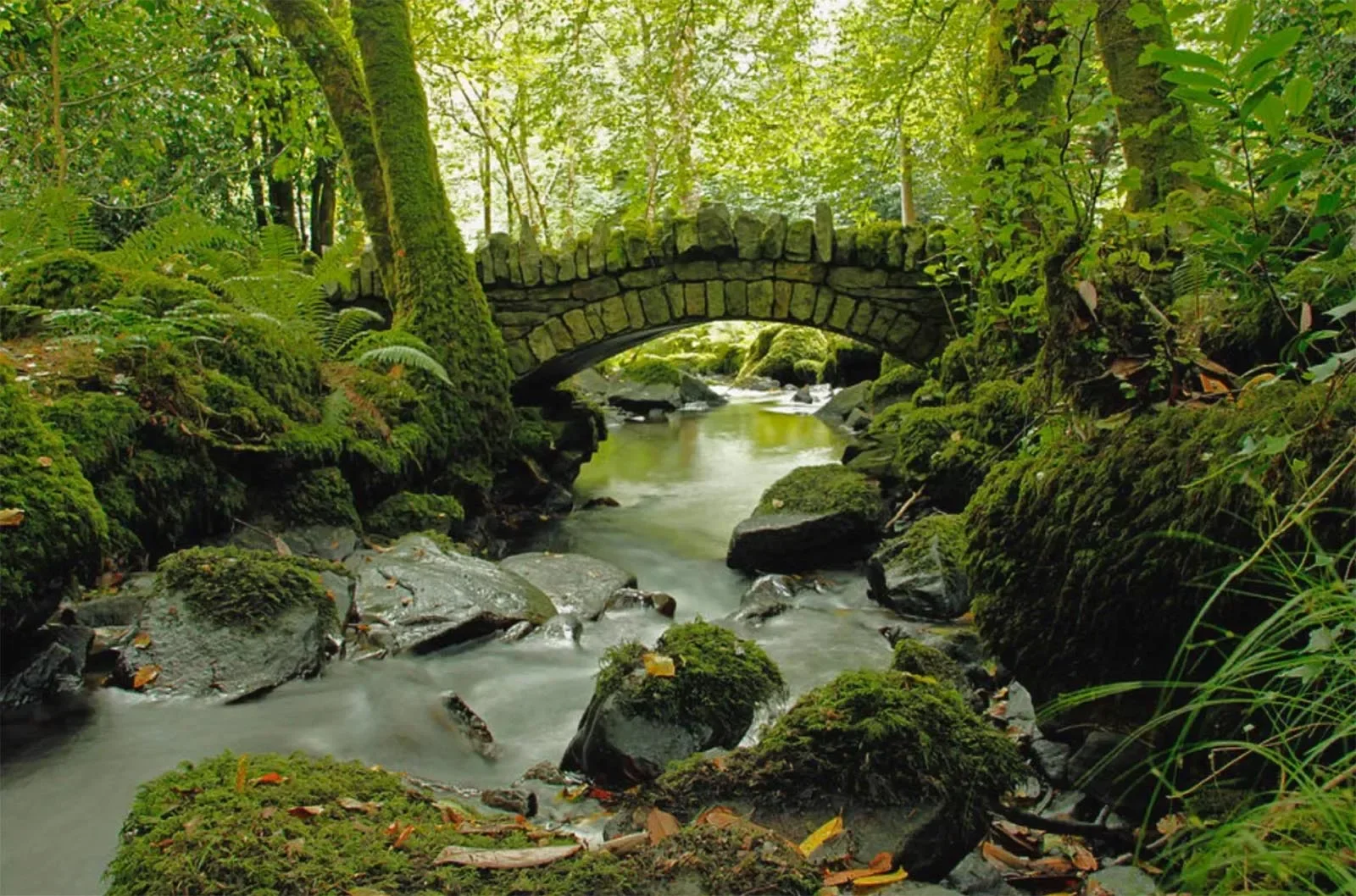 Kilfane Glen & Waterfall