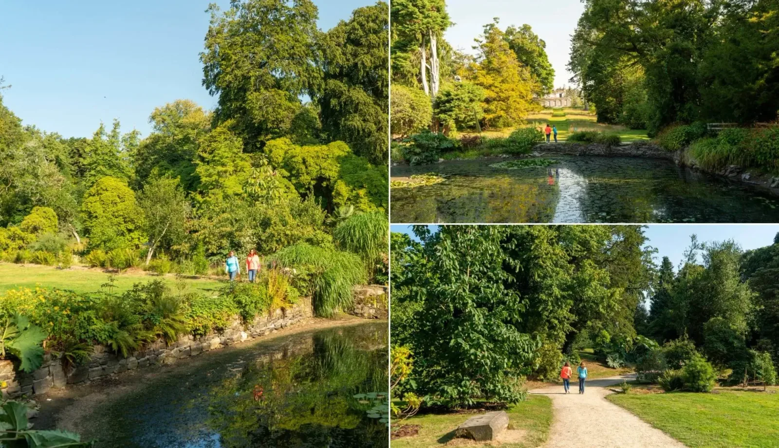 Kilmacurragh Arboretum