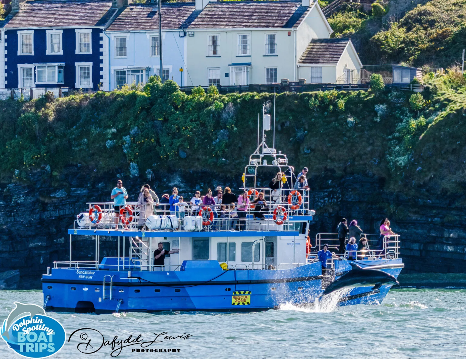 Kilmore Quay Boat Trips photo 2