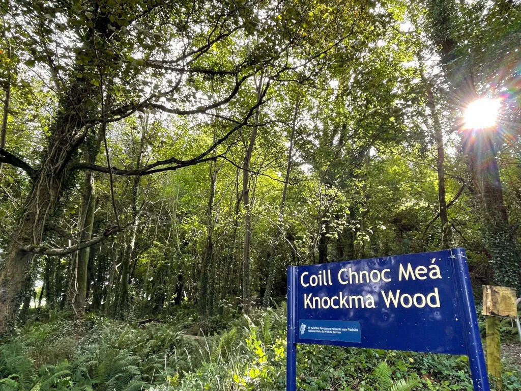 Knockma Woods photo 2