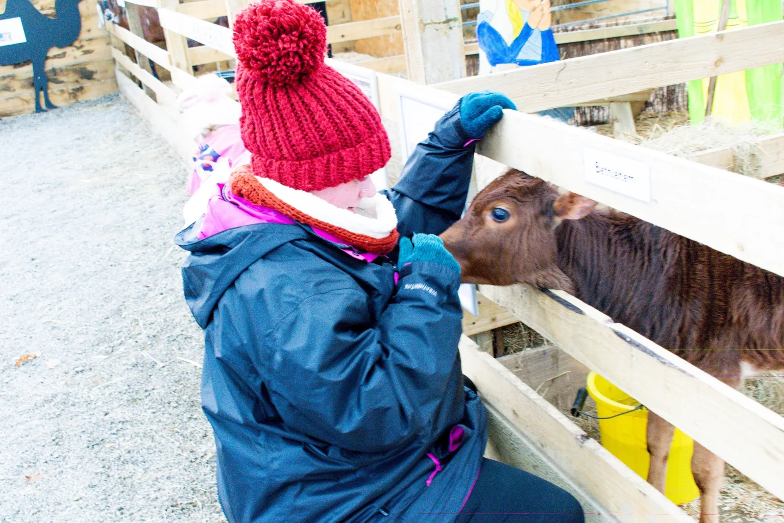 Lake District Wildlife Park photo 2