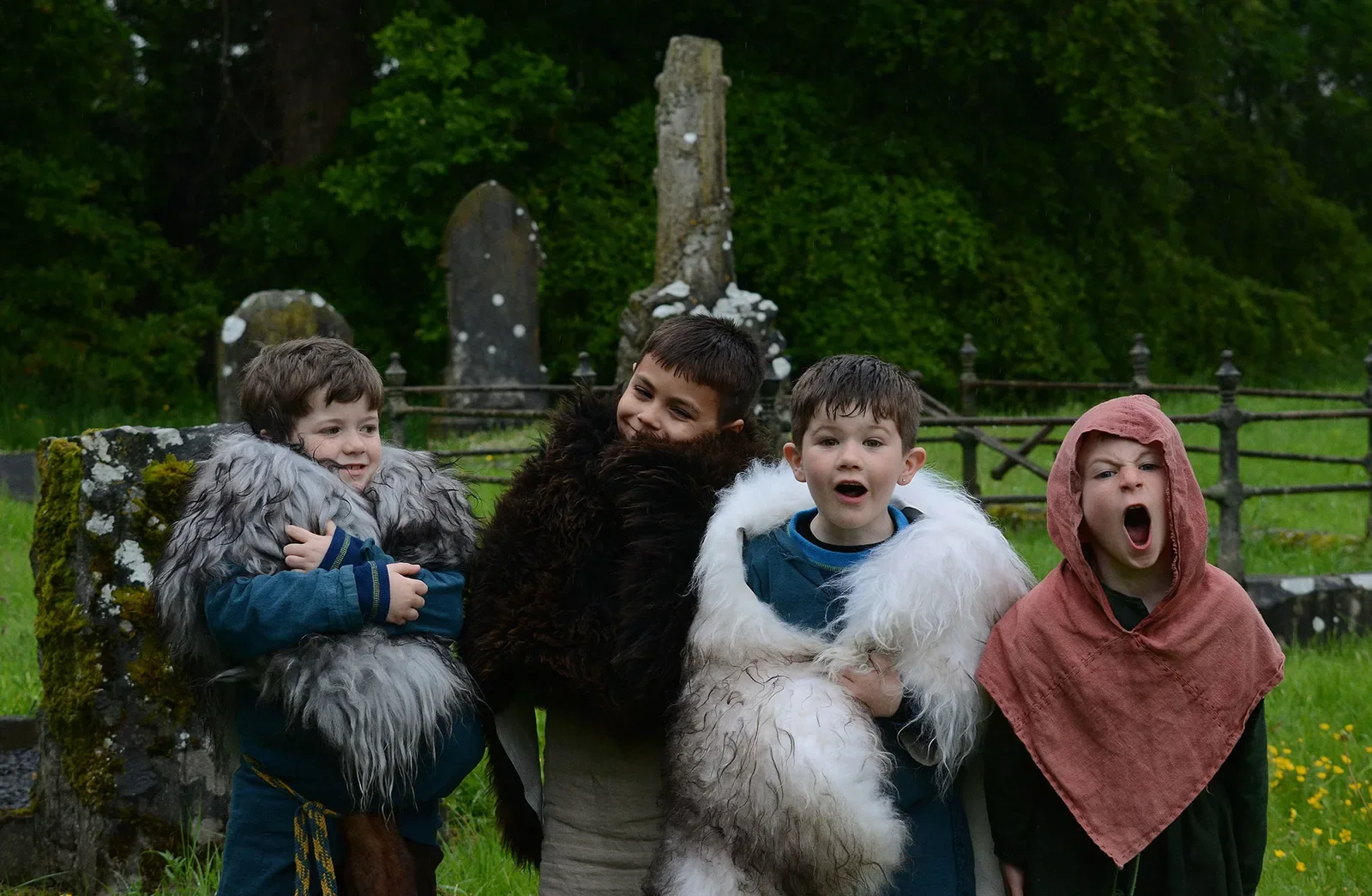 Laois Heritage Park