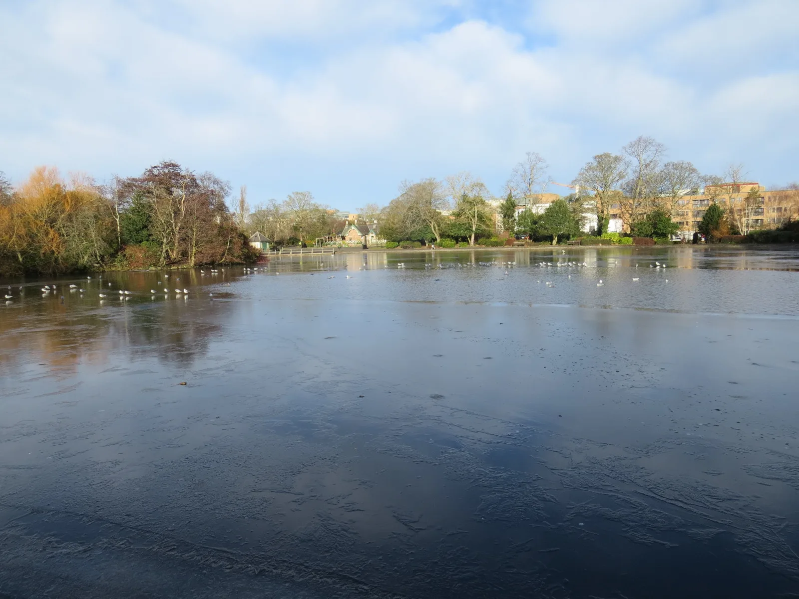 Leazes Park photo 2
