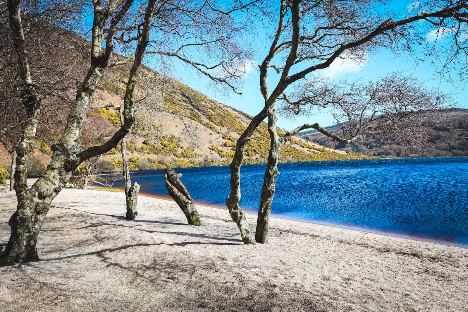 Lough Allen Beach