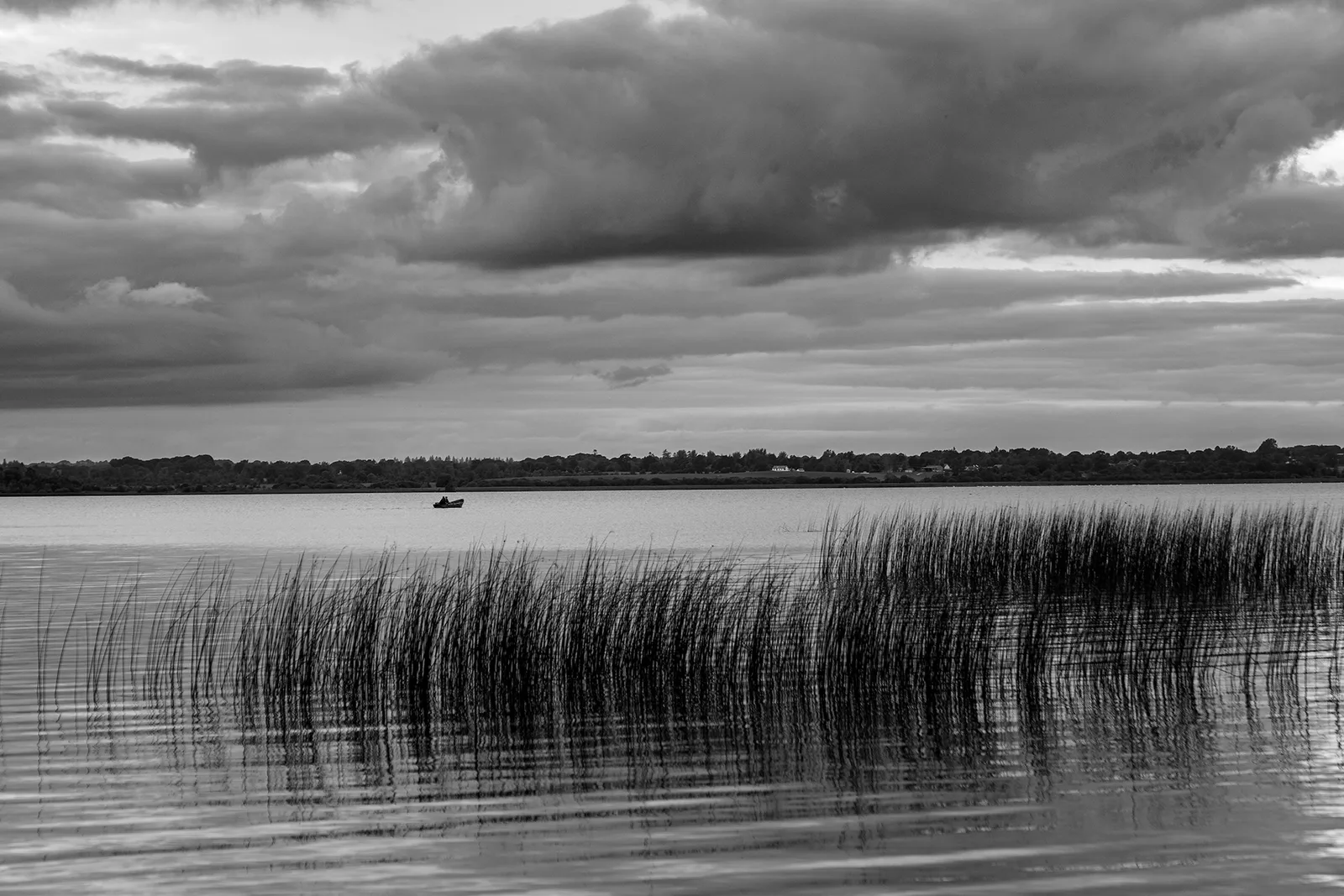 Lough Ennell photo 3