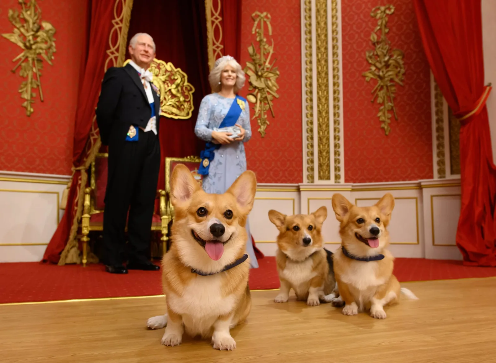 Madame Tussauds + Phoenix Palace photo