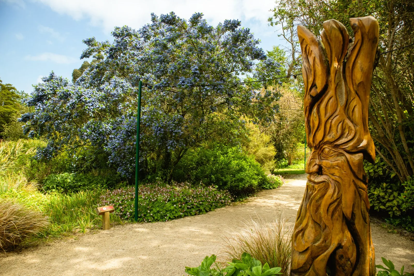Malahide Castle and Gardens photo 3
