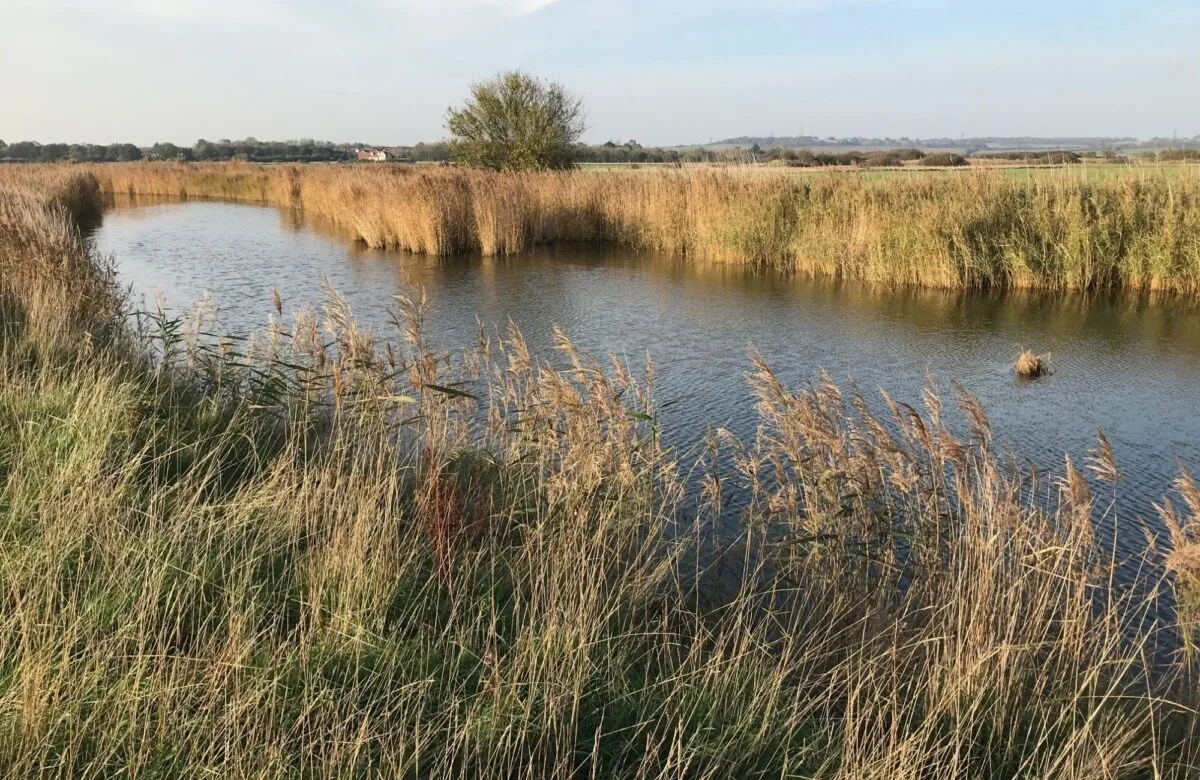 Marsh Farm Country Park photo 3