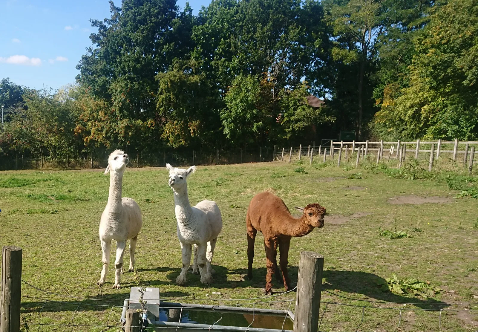 Meanwood Valley Urban Farm photo 3