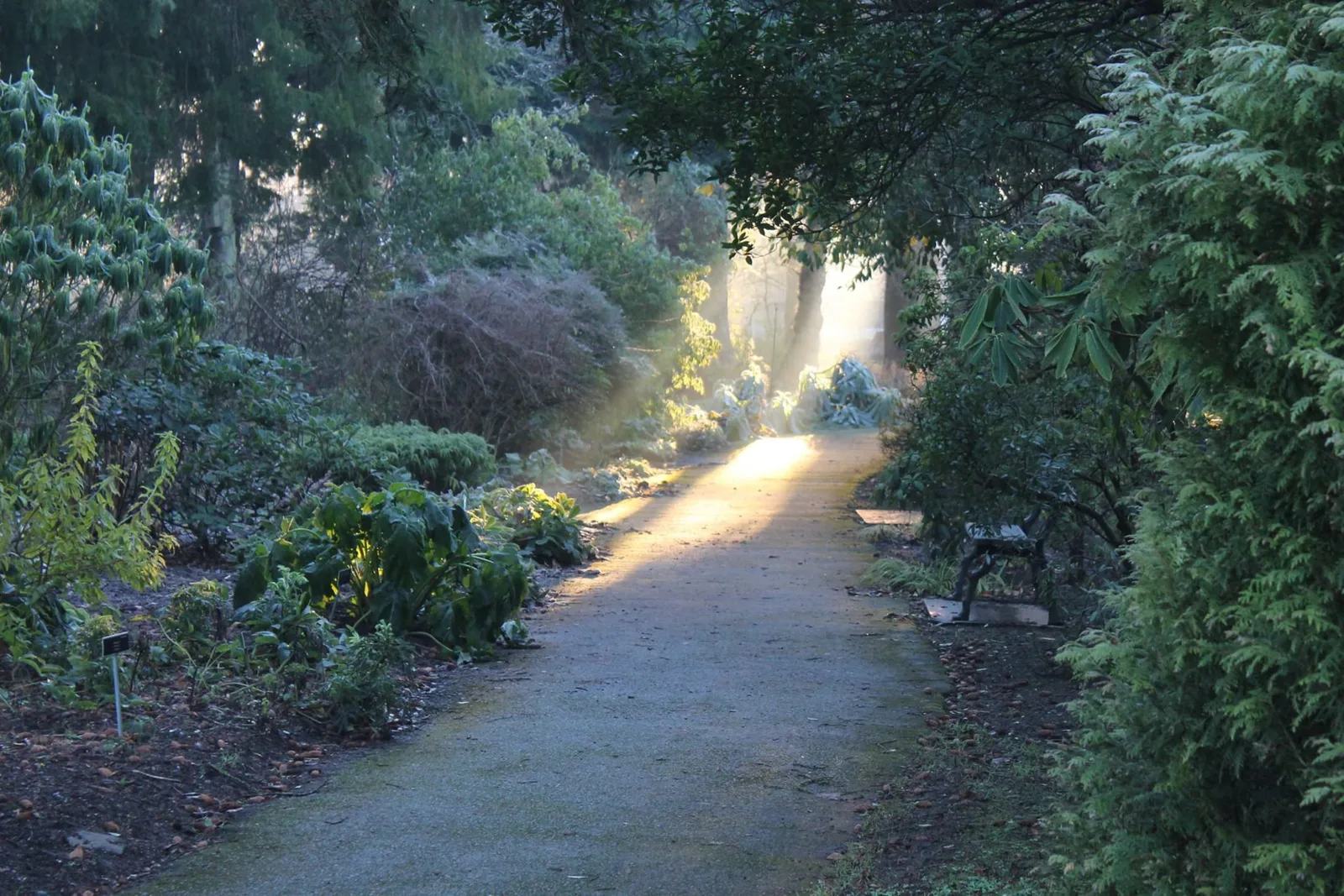 National Botanic Garden of Wales photo